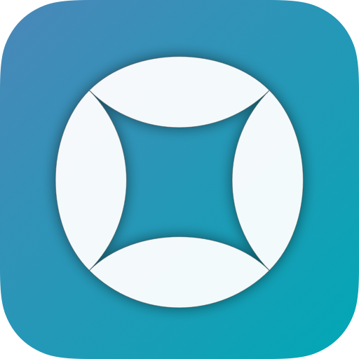 Budget Icon
